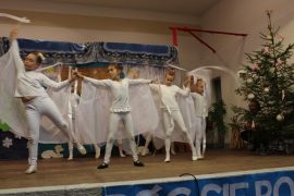 IMG_8207 IMG_8207